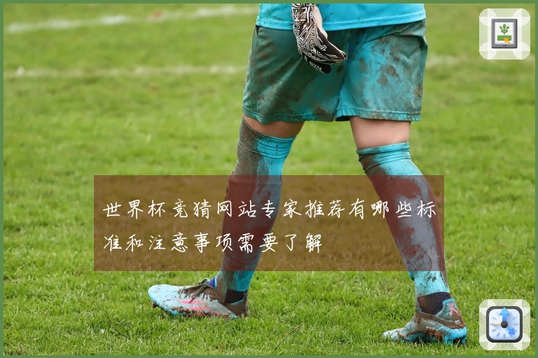 世界杯竞猜网站专家推荐有哪些标准和注意事项需要了解