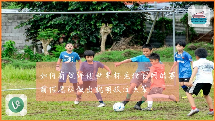 如何有效评估世界杯竞猜官网的赛前信息以做出聪明投注决策