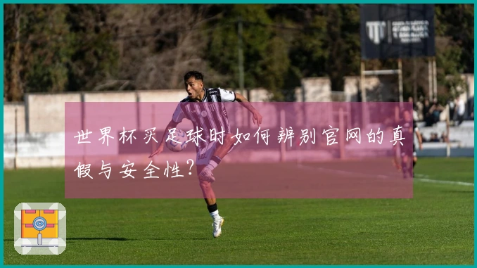 世界杯买足球时如何辨别官网的真假与安全性？