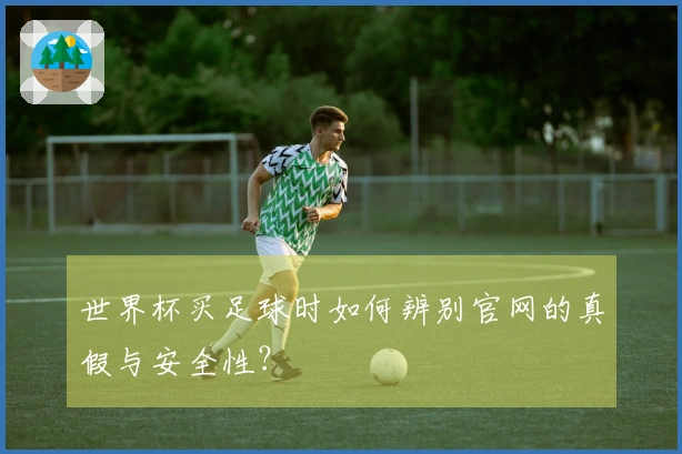 世界杯买足球时如何辨别官网的真假与安全性？
